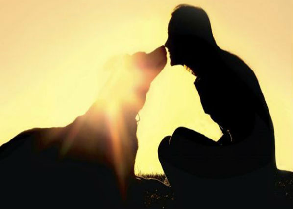 Missão espiritual dos cães em nossas vidas