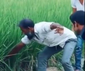 Impressionante resgate de uma Cobra com as Mãos Qual o significado espiritual de cobra?